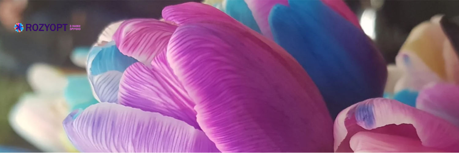 Доставка цветов из Голландии в Харьков