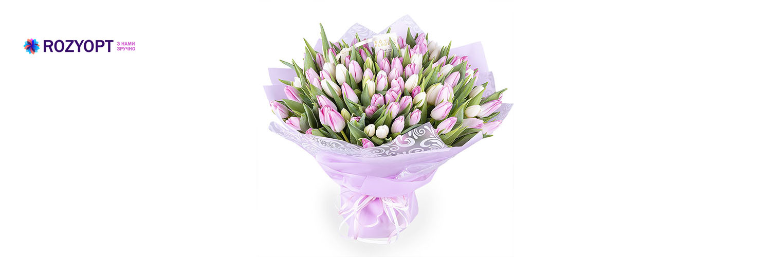 Голландские тюльпаны в Днепре