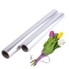 Прозрачная пленка