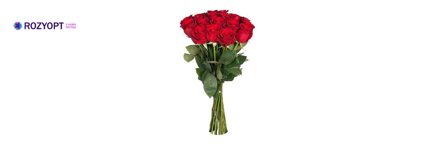 Прямые поставки роз из Эквадора в Днепр