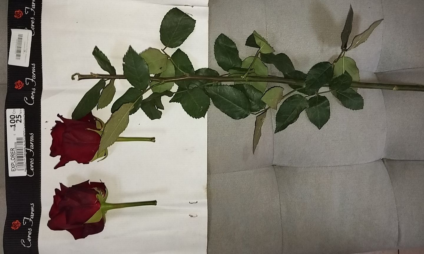 Пример не попадающий под претензию