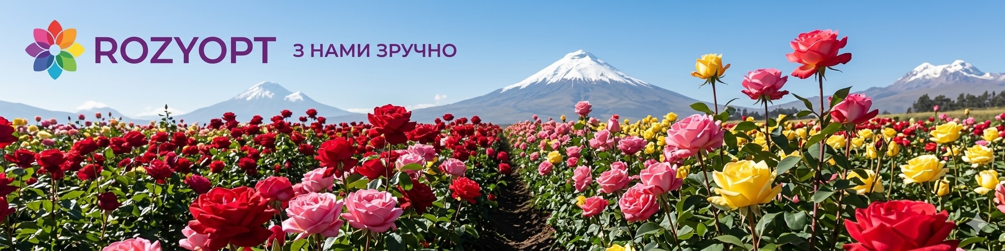 Преимущества для цветочного бизнеса от компании &laquo;RozyOpt&raquo;